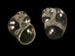 Rissoella-contrerasi-0.75-mm-5091-a1