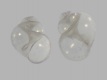Rissoella-contrerasi-0.75-mm-5091-a2