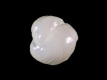 Foraminifera - 0.6 mm - RC D095 - Tenerife