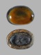 Fossiele-tand-zaabrasem-10-mm-Nederland-Zwarte-Polder-RC-F148-a