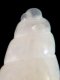 Odostomia unidentata (protoconch) - RC 3868 [a2]