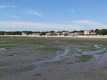 Slikgebied Bassin d'Arcachon - Frankrijk (Gironde) [b]