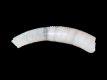 Caecum trachea [c] - 2.85 mm - RC 3909