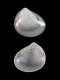 Goodallia triangularis - 1.15 mm - RC 2682