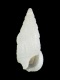 Cerithium sp. - 4.7 mm - RC 2717