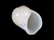 Natica sp. (juv) - 1.6 mm - RC 2717