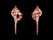 Vokesimurex-rectirostris-juv-46.4-mm-Indonesie-Madura-Island-RC-2451