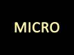 _MICRO