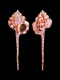 Haustellum-damarcoi-125-mm-Indonesie-Lombok-RC-4085