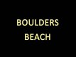 Boulders Beach (0)