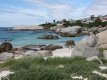 Boulders Beach (1)